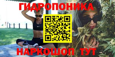 спайс Гусев