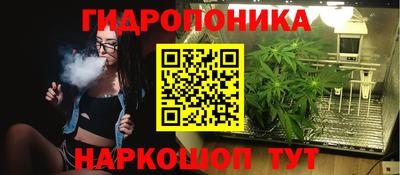 спайс Гусев
