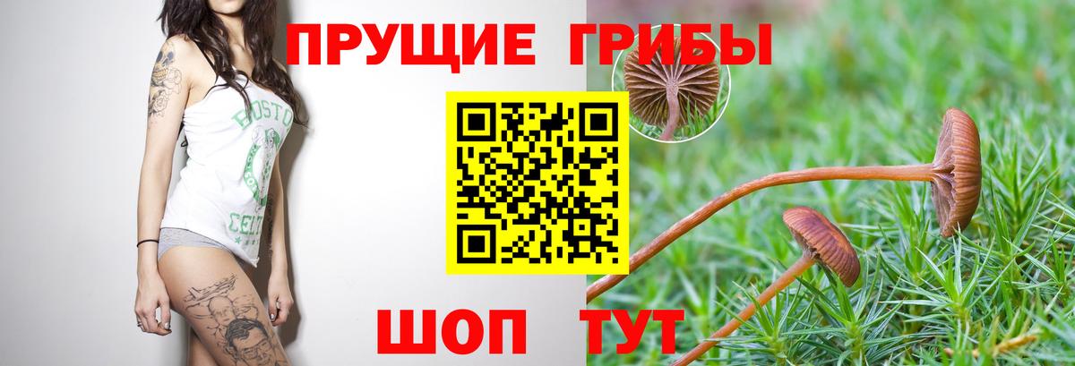 Малоярославец  Галлюциногенные грибы ЛСД  Вход с VPN  Псилоцибиновые грибы MAGIC MUSHROOMS 